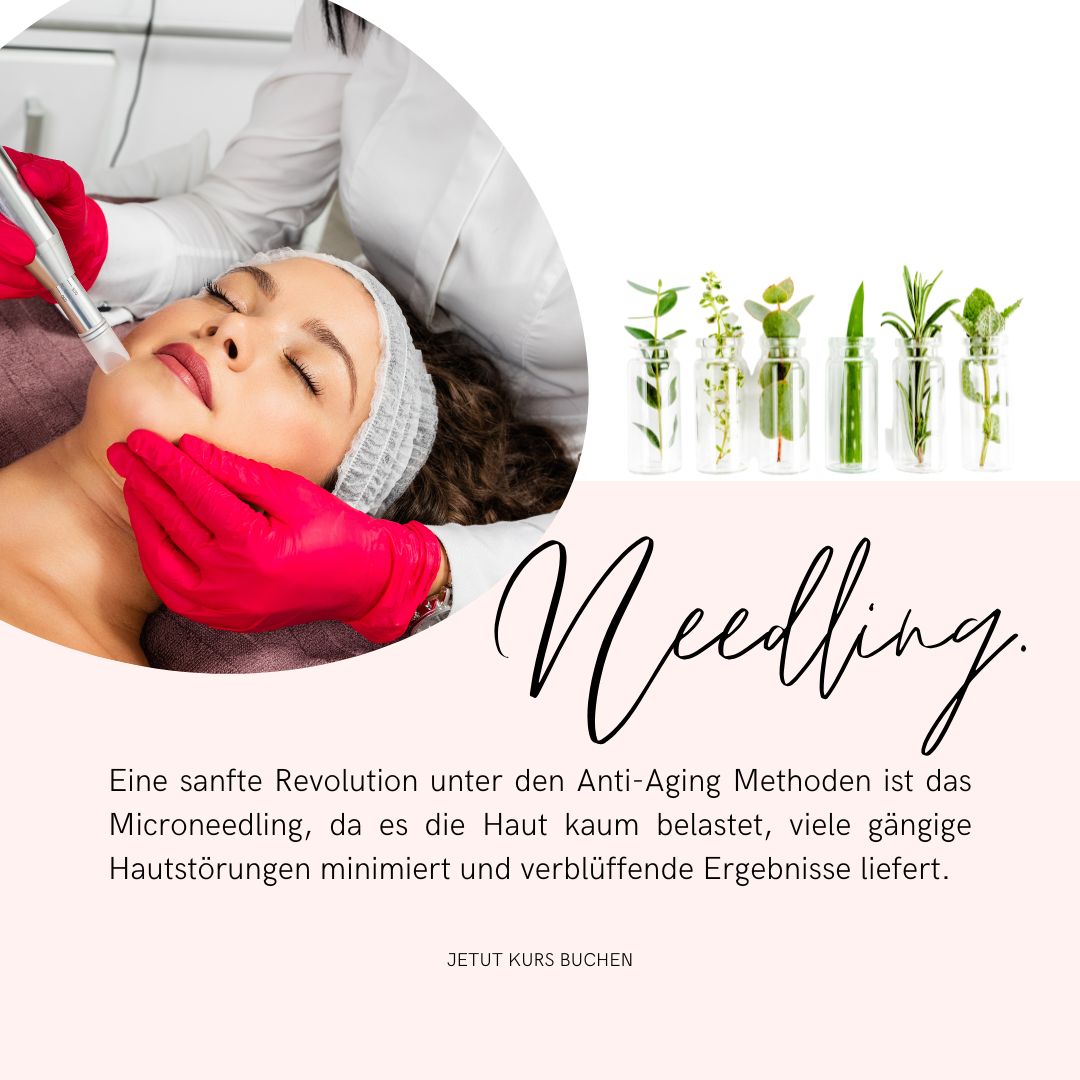 Dagmar Microneedling(2) Microneedling Ausbildung Tageskurs