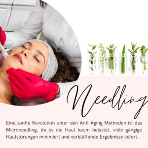 Microneedling Schulung online – Praxisnah mit Zertifikat